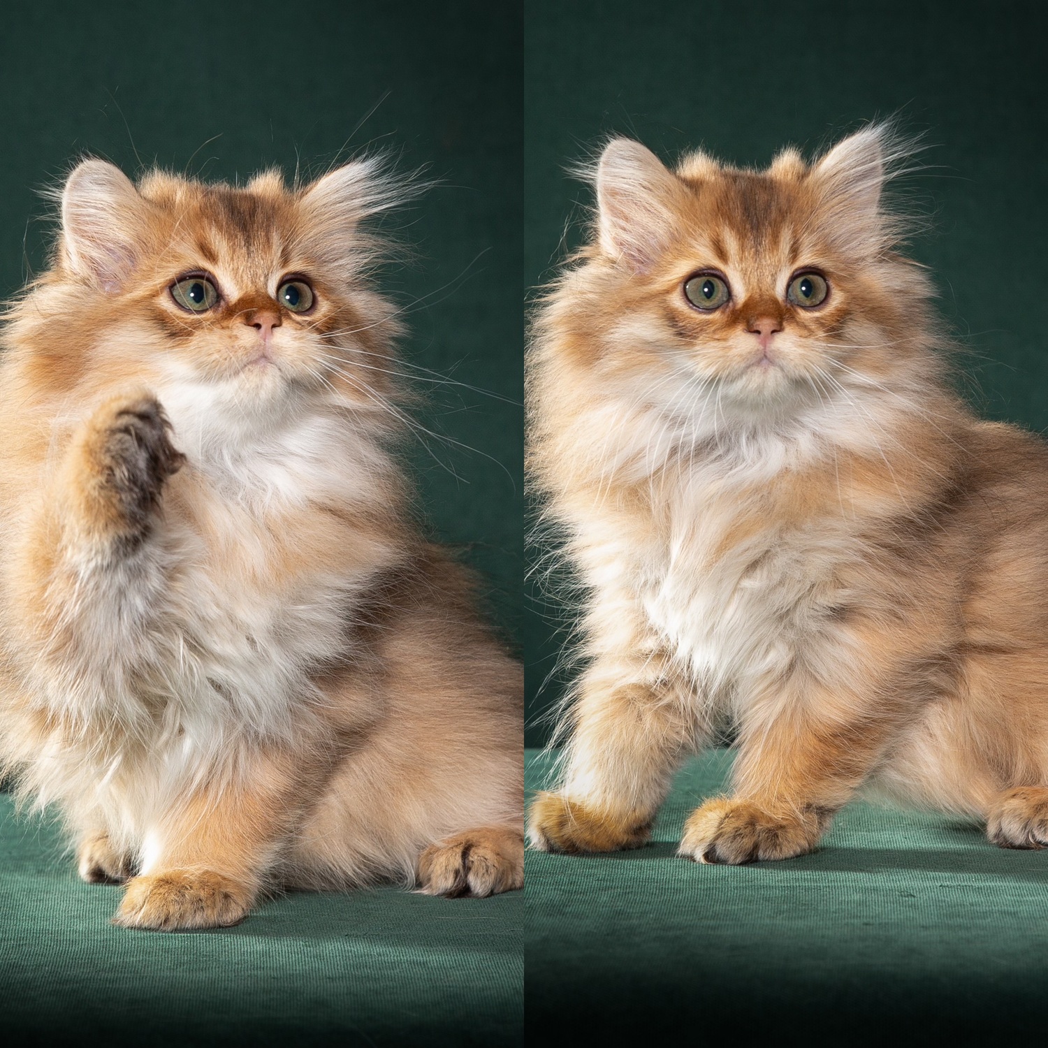 Очаровательный Niki Очаровательный Niki