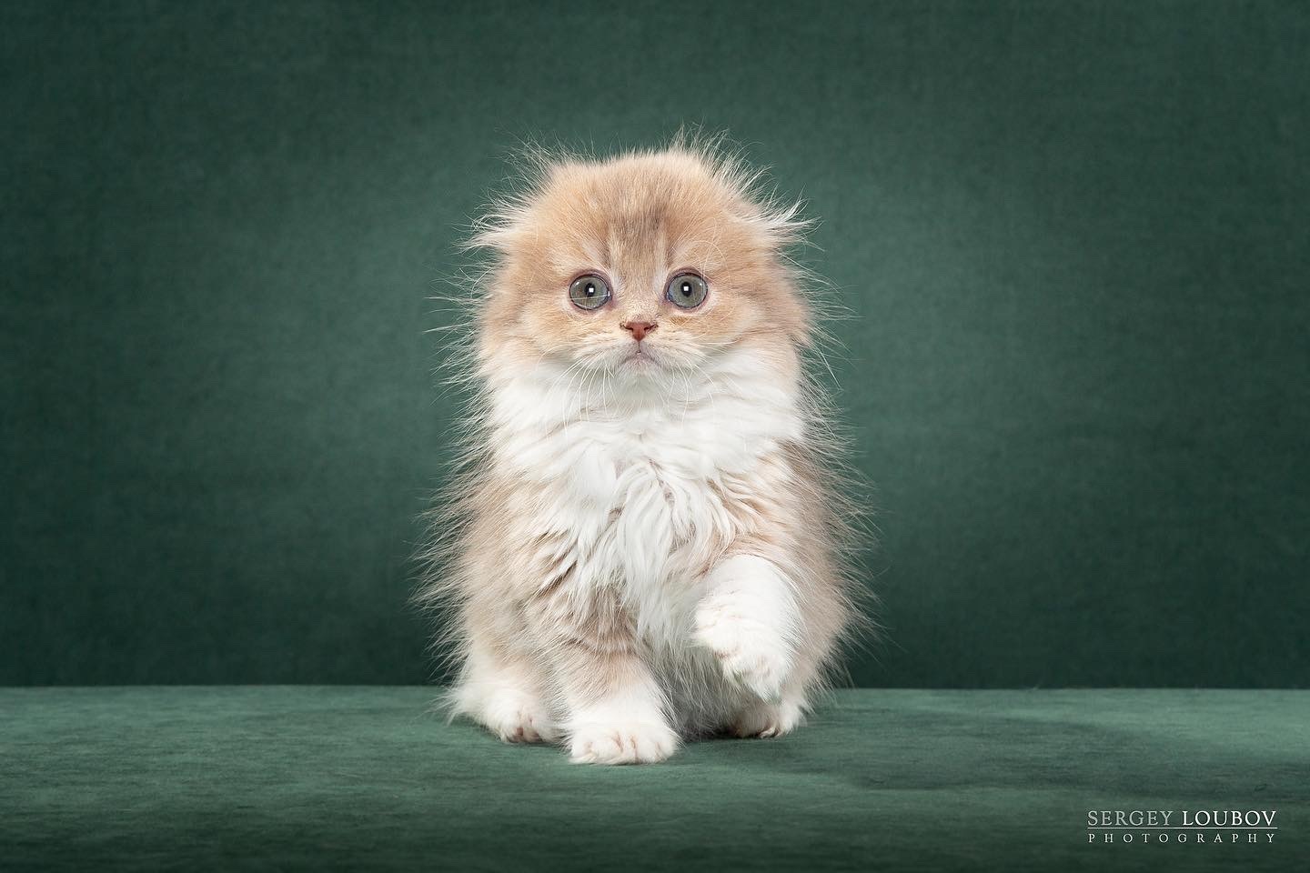 Поддержка и помощь